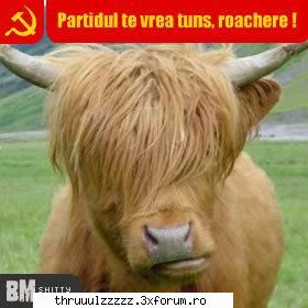 OZE HAIOASE - VOM PUNE FIECARE CATE O POZA HAIOASA - ^*^D3-Al3 NoAsTr3^*^